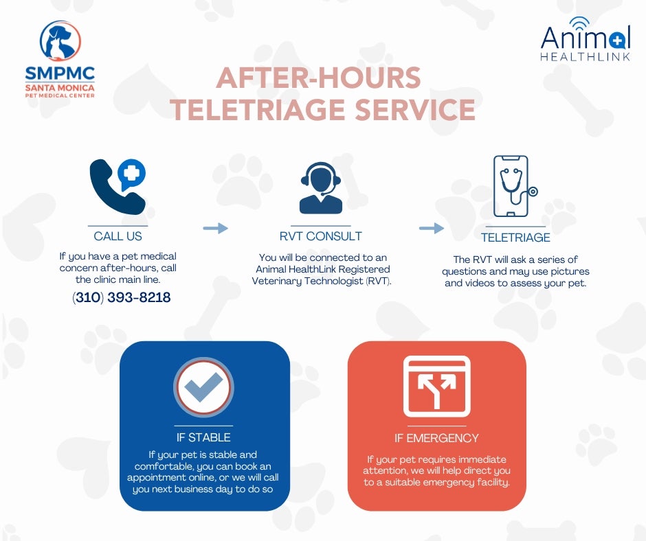 After Hours Information After Hours Information