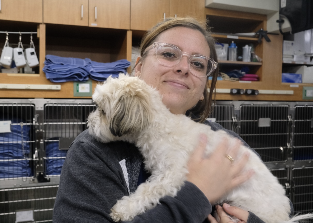 Puppy Care